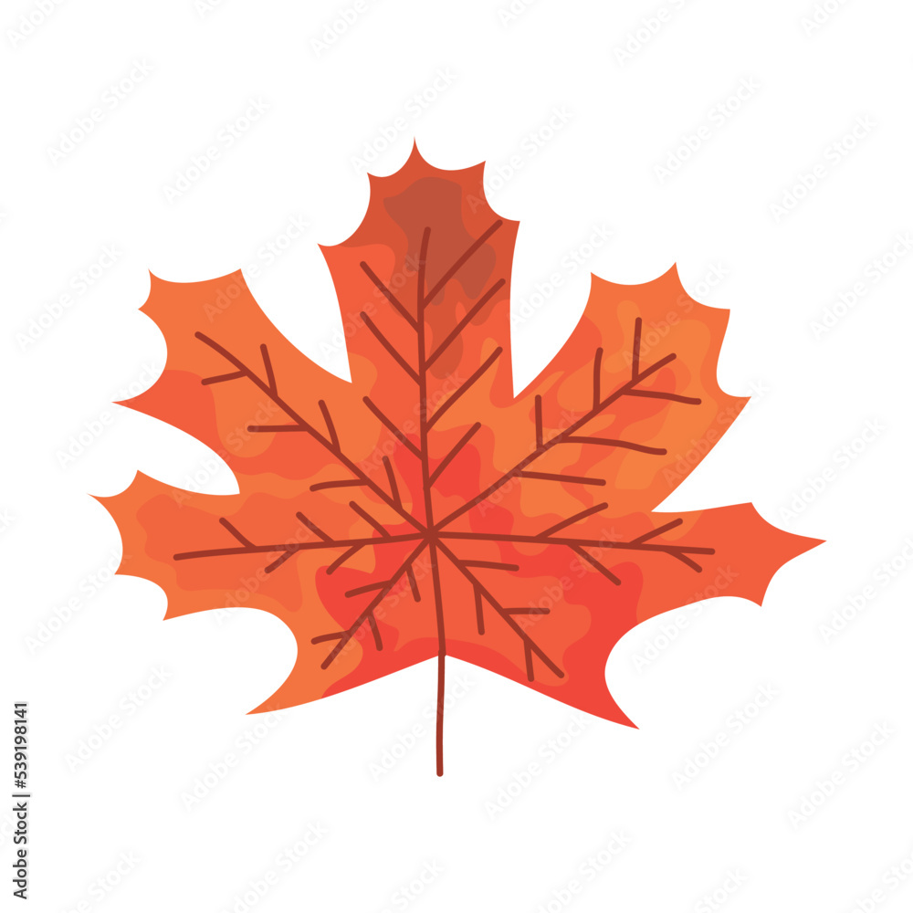 Naklejka premium maple leaf icon