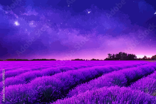 a lavender field full of purple flowers at night 