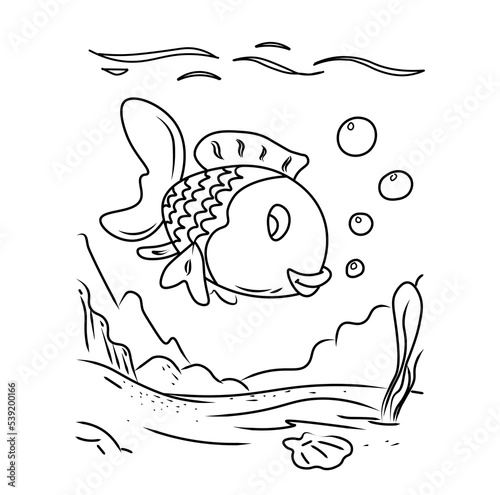 Coloring Book, fish picture series