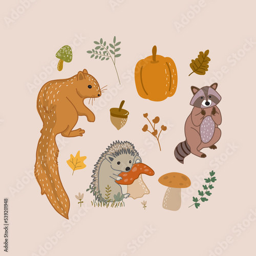 Hand drawn of autumn forest animal free vector