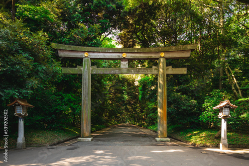 Torii leading to the Meiji Shrine in tokyo, japan photo