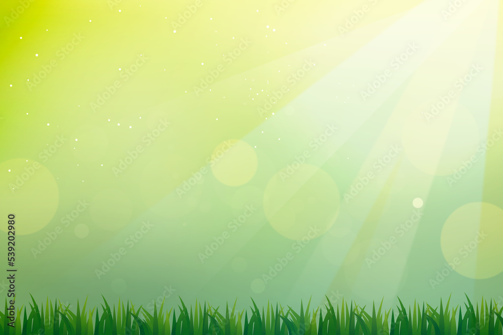 Abstract Bokeh Grass Nature Background. Abstract Bokeh Grass Nature Background.