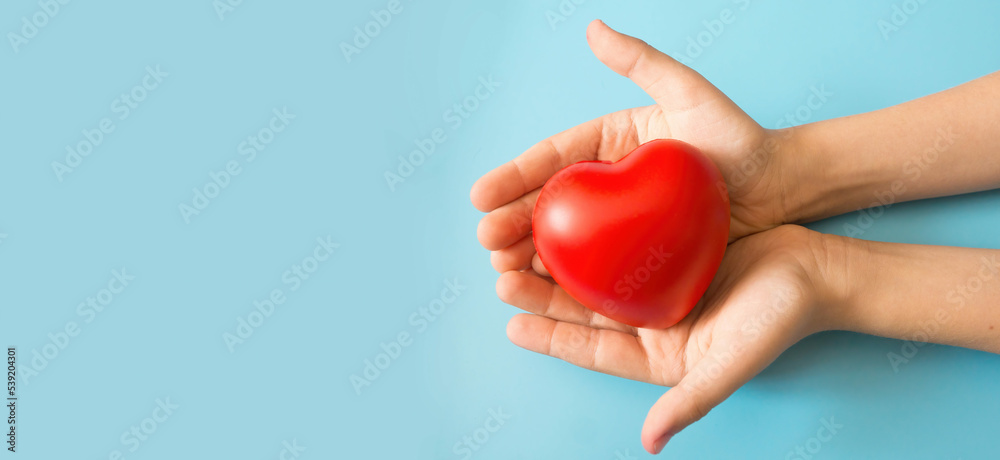 children's hands holding a red rubber heart on a blue background, copyspace banner on the left. baby love, save a child's life, heart diseases. healthy baby heart children's hands holding a red rubber heart on a blue background, copyspace banner on the left. baby love, save a child's life, heart diseases. healthy baby heart