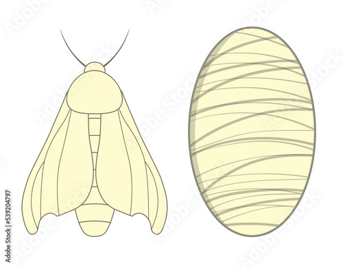 Foto Silkworm with cocoon glyph icon. Silk material
