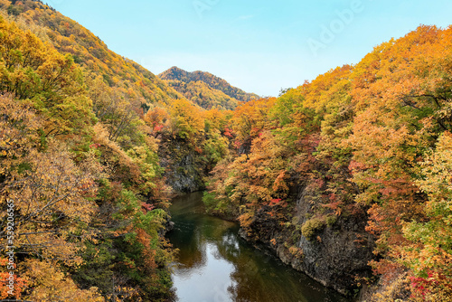 定山渓の紅葉