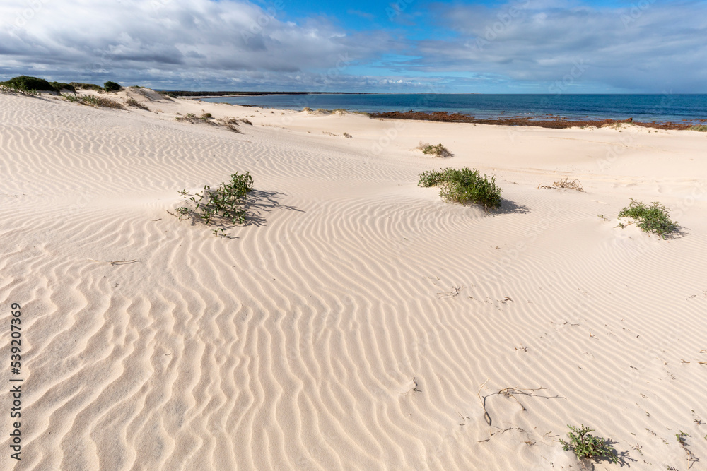 rippled white sand dunes near beach rippled white sand dunes near beach