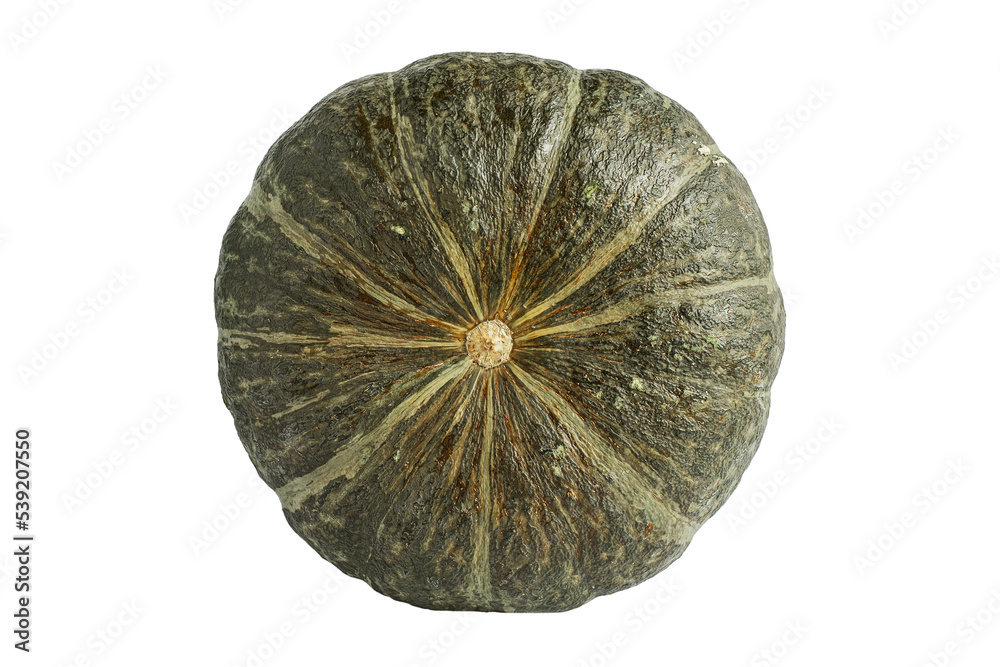 Green pumpkin isolated on white background. Top view Green pumpkin isolated on white background. Top view