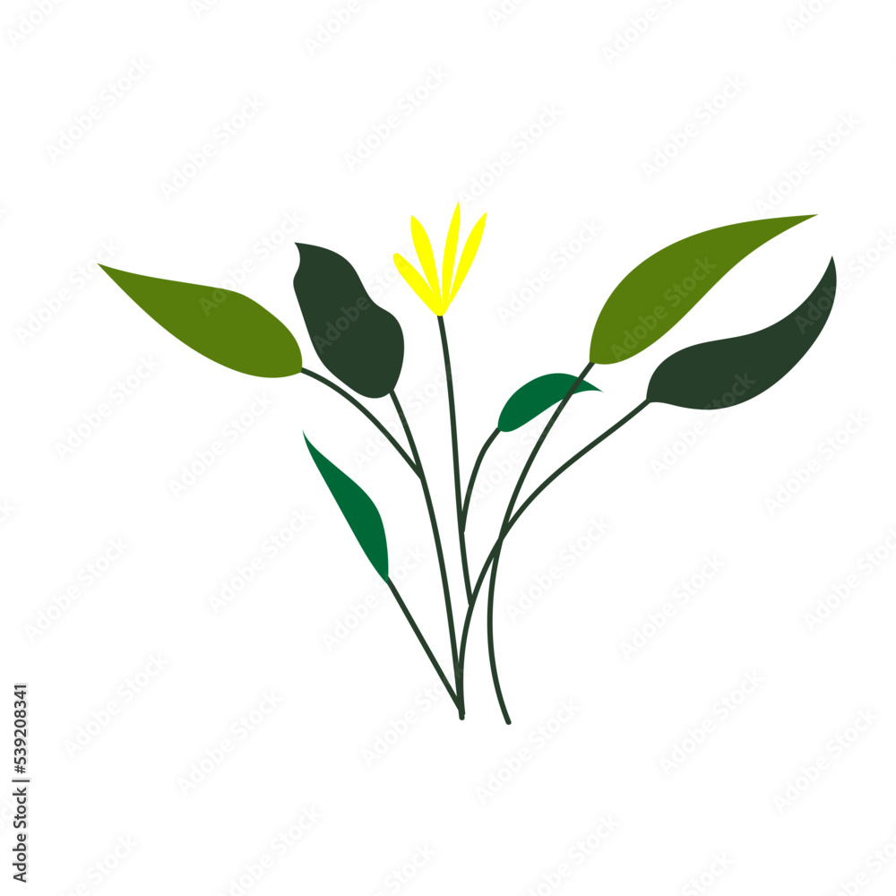 green tropical leaf illustration