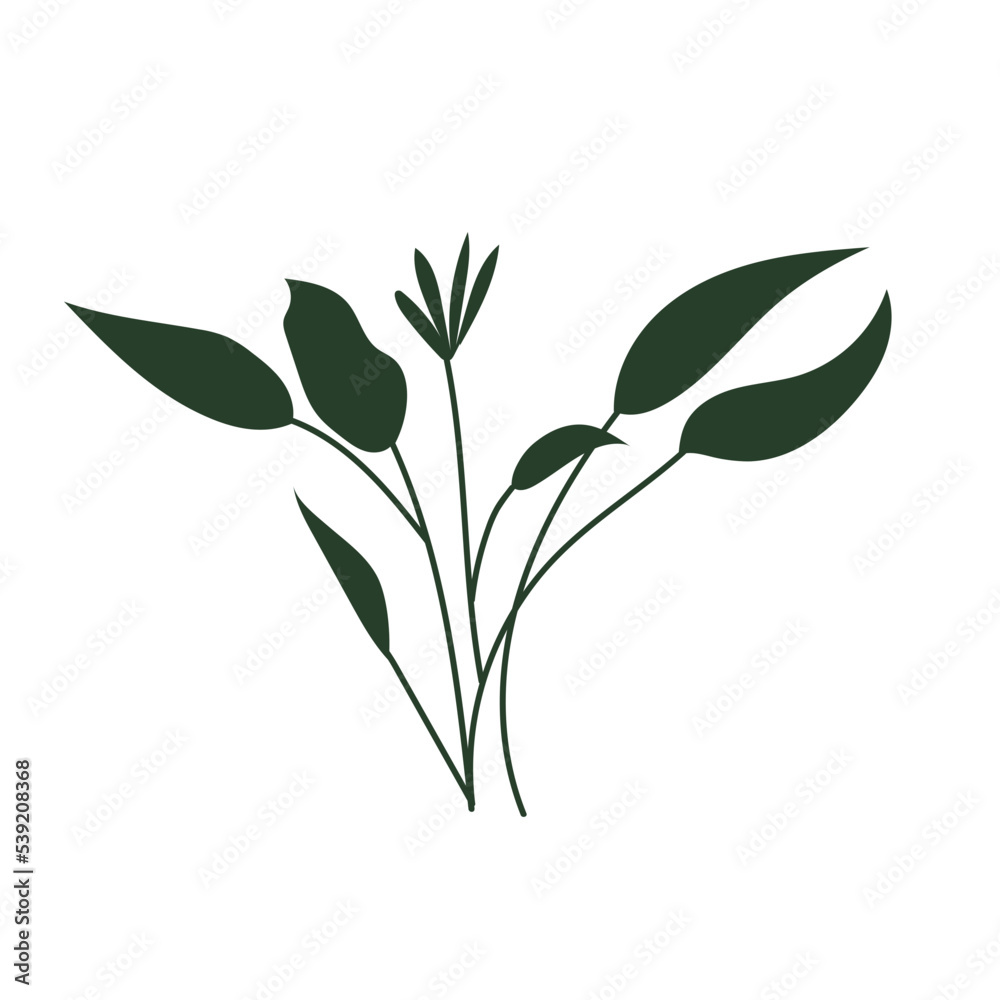 green tropical leaf illustration