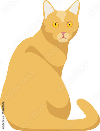 Angry kitten. Yellow cat look from back. Cartoon pet