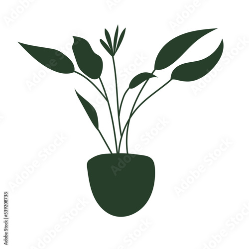 green tropical plant with pot