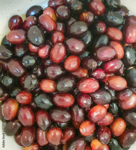fresh picked olives photo