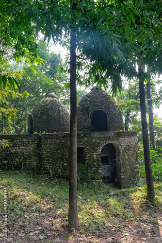 Photography Hindu temple dome emerging from the trees in the forest