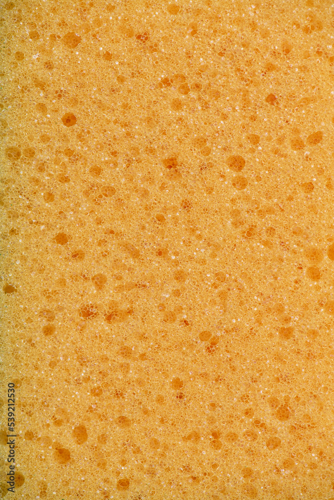 Sponge texture background. Yellow sponge texture detail, sponge texture background. detailed texture of yellow sponge. sponge background texture. Sponge texture background. Yellow sponge texture detail, sponge texture background. detailed texture of yellow sponge. sponge background texture.