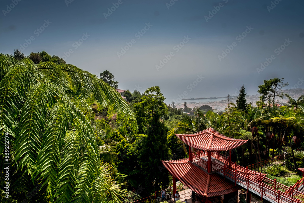The lush gardens of Monte Palace in Funchal, Madeira The lush gardens of Monte Palace in Funchal, Madeira