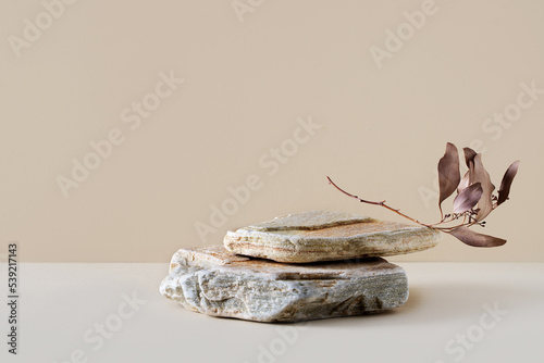 Stone podium mock up with dry leaves, mock up for product cosmetic
