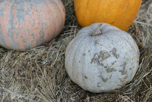 Orange halloween pumpkins on stack of hay or straw in sunny day, fall display. Halloween decorations