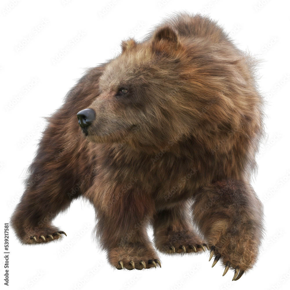 Fototapeta premium Large brown bear transparent PNG overlay. 3d rendering