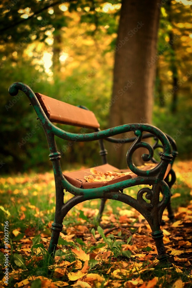 bench in autumn park bench in autumn park