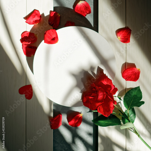 A fresh red rose and a round empty frame are brightly illuminated by the light from the window. Nearby on a white table are petals and a heart shape. Romantic flower arrangement with copy space.