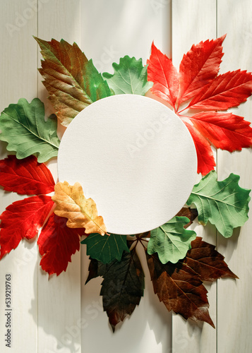 Autumn composition with round paper canvas and colorful tree leaves. Red, yellow, green leaves are on a white wooden background. Autumn, fall, thanksgiving day concept. Flat lay. Copy space.