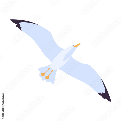 Cartoon beach seagull flying in sky vector illustration. Isolated flat gull soaring on blue background. Atlantic bird