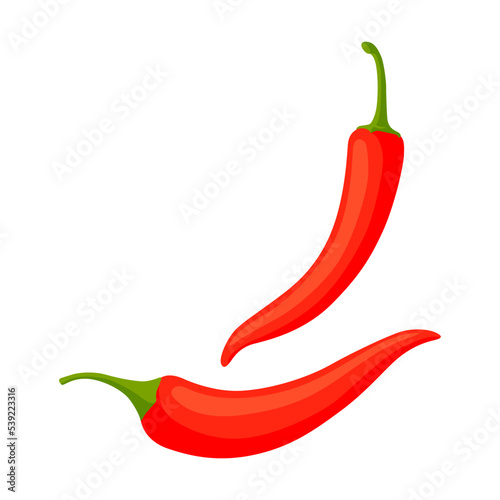 Cartoon Mexican traditional symbol. Flat vector illustration. Colorful pepper. Culture, travel, Mexica concept
