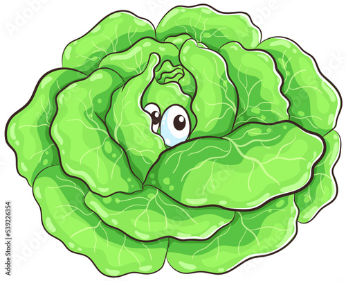 Niedlicher Feldsalat - Vektor-Illustration