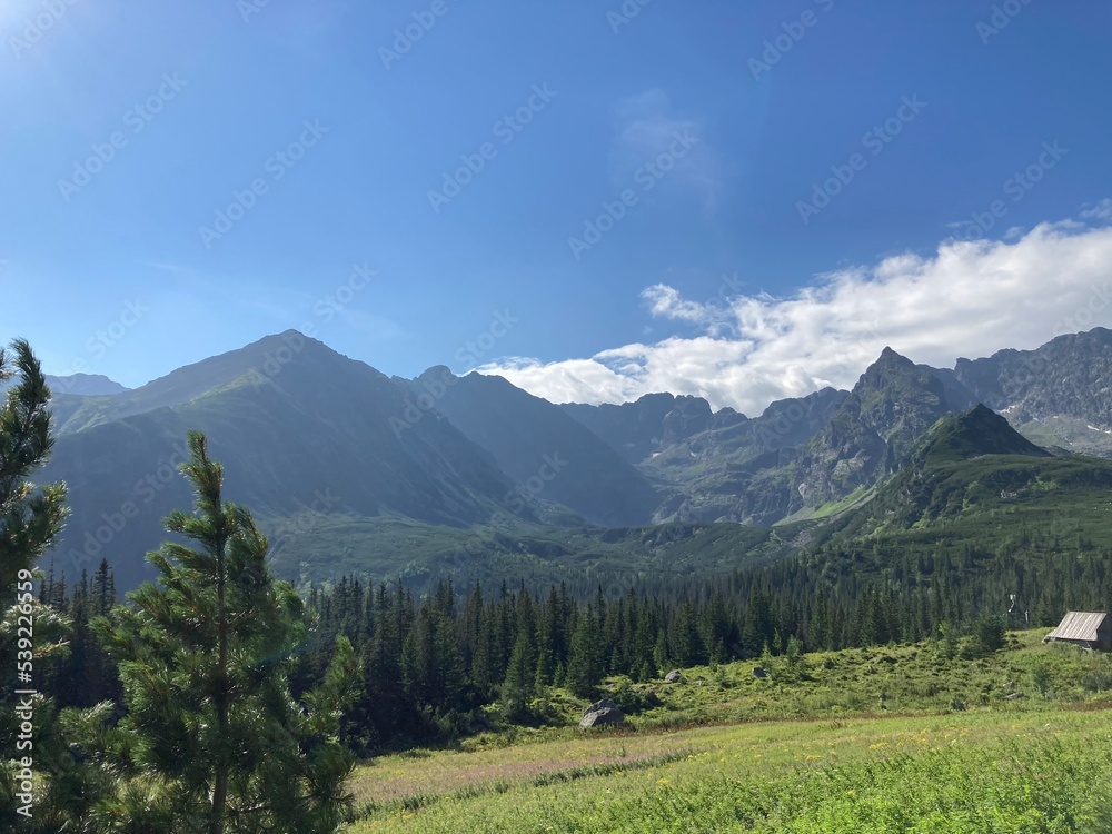 Sunny summer hiking path in the mountains. Rocky Mountain in the summer with trees and forest. Walking in the mountains and forest with blue sky. Summer travel hiking in Europe. 