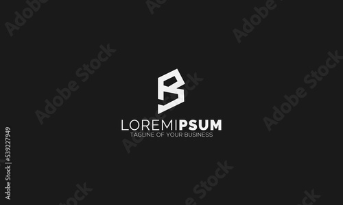 abstract letter B company logo for business vector of the black color