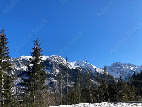 Views from winter hiking path in the forest. Mountain nature landscape. Forest landscape from walking, hiking in the mountains. Snowy path in the forest with bridge and river. Sunny winter day. 