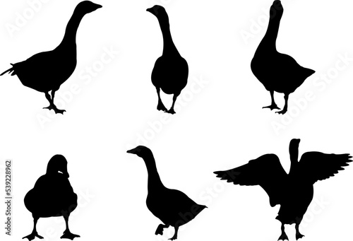 Collection of black silhouettes gooses.