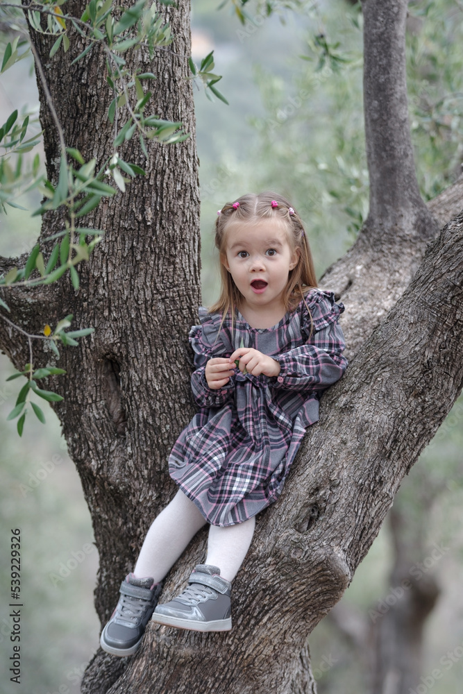A child girl sitting on a olive tree A child girl sitting on a olive tree