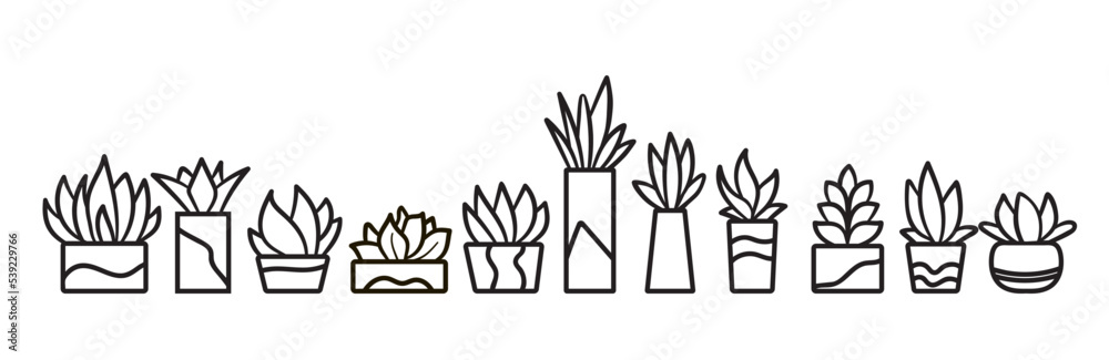 Set of stylized succulents in flower pots