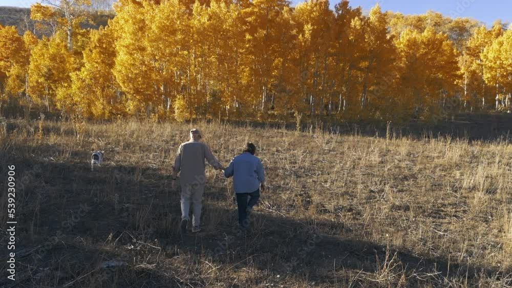 Older couple hiking with their dog on a beautiful autumn day toward bright gold and orange aspen grove. Older couple hiking with their dog on a beautiful autumn day toward bright gold and orange aspen grove.