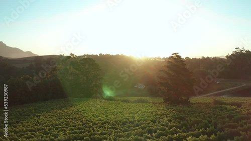 Aerial sunset view over the vineyards of Banhoek and Franschhoek in South Africa. 