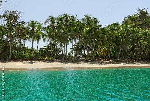 Tropical beach, coconut trees, calm, green water. Isla de Gamez is a small island located off the Pacific coast of Panama.