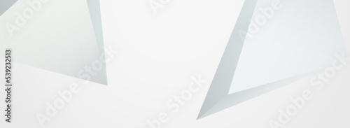 Light Geometric Minimal Vector Panoramic Gray