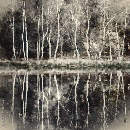Digital watercolour painting of Lovely Autumn Fall landscape image of stripped silver birch trees reflected in calm lake waters at sunrise