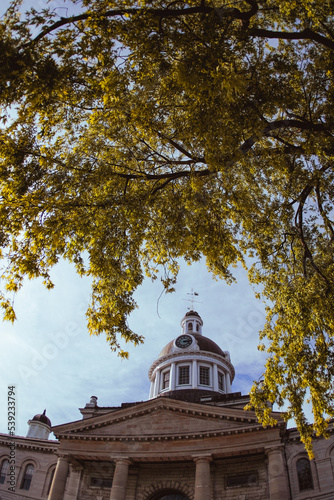 Autumn in a Kingston park