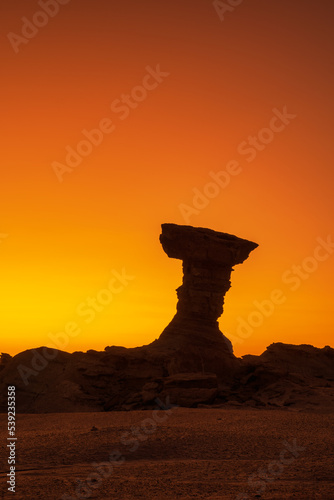 The famous rock formation called El Hongo in Valle de la Luna natural park in Argentina at sunset photo