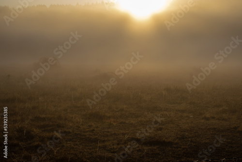 Morning Sunrise Through Fog over Plain © Ben