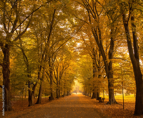 Jesienny krajobraz w parku