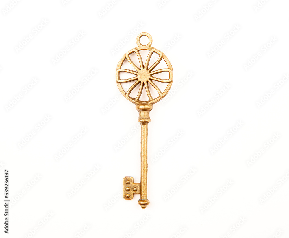 Obraz premium image of key white background
