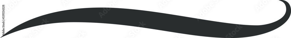 Curly swoosh. Text tail. Retro decorative element