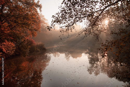 Jesienny mglisty poranek, promienie słońca © Iwona
