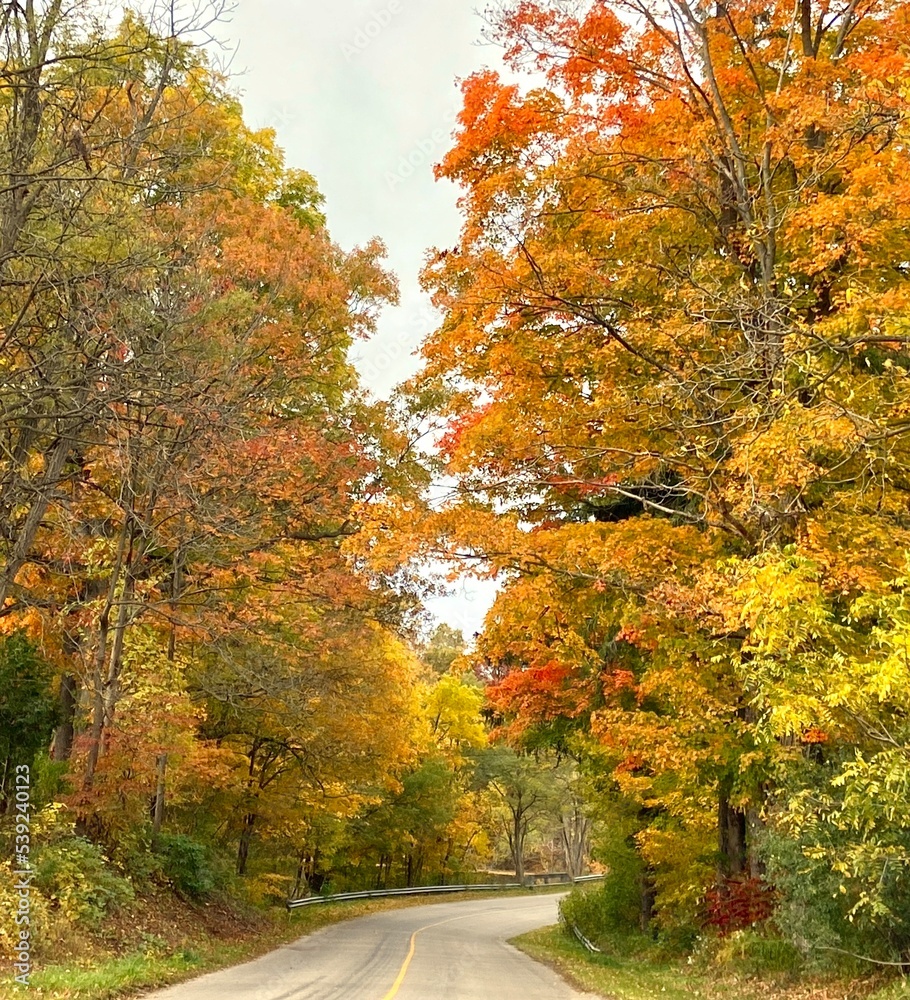 Obraz premium Country Road in Fall 