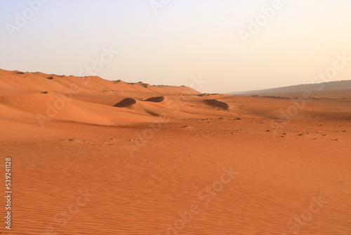 Desert Wahiba Sands in Oman, Near East