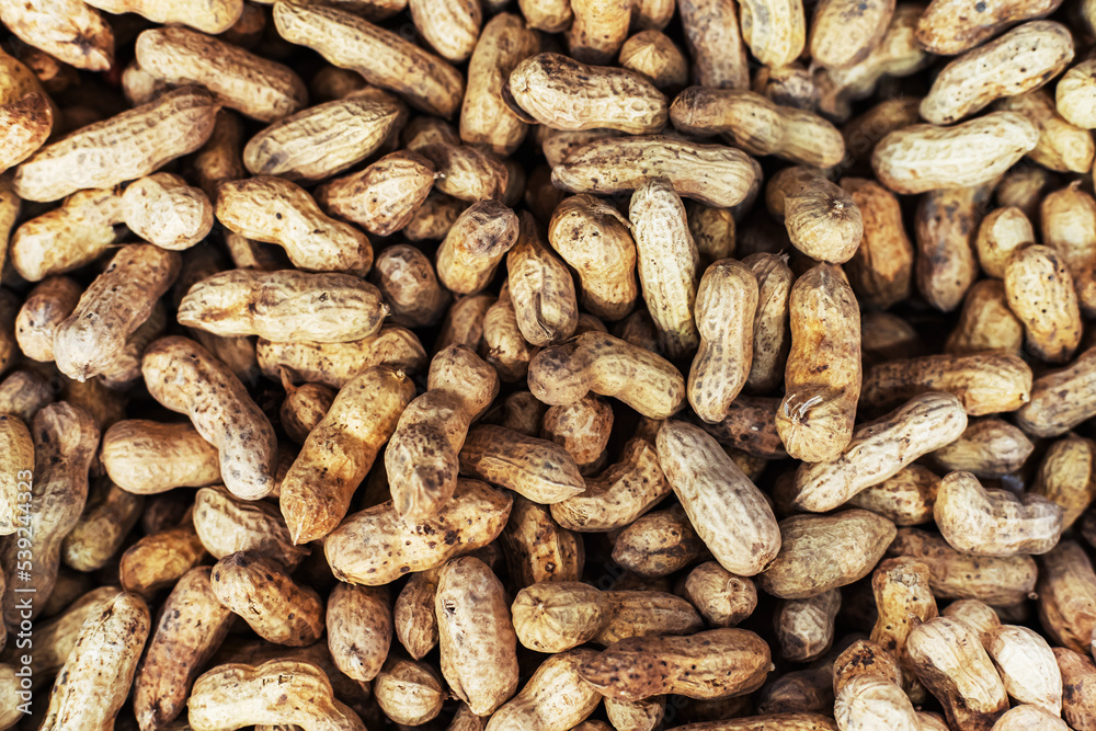 Lots of unshelled peanuts at the grocery store. Close-up Lots of unshelled peanuts at the grocery store. Close-up