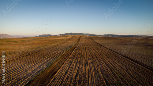 Fototapeta Naklejka Na Ścianę i Meble -  Aerial View Of Agricultural Field